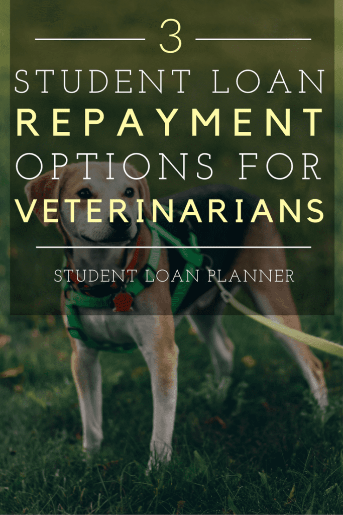 Top 3 Student Loan Repayment Options for Veterinarians Student Loan