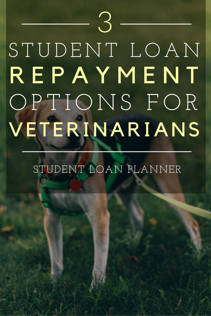Student Loan Repayment Choices for Veterinarians