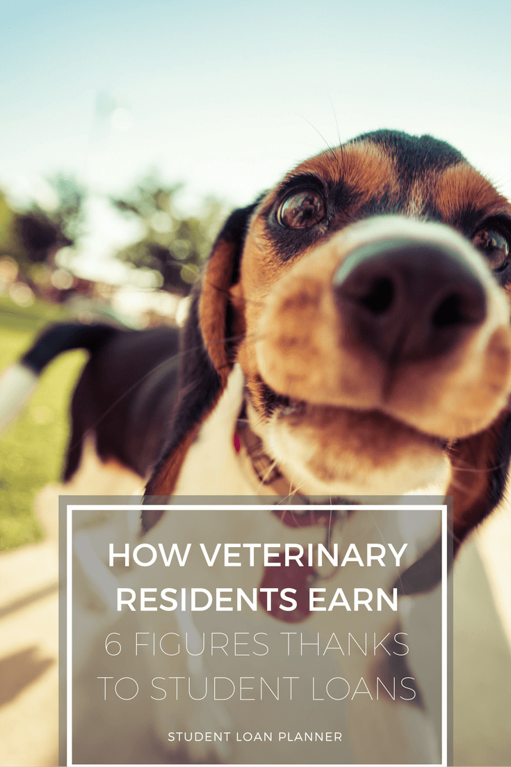 veterinary residents