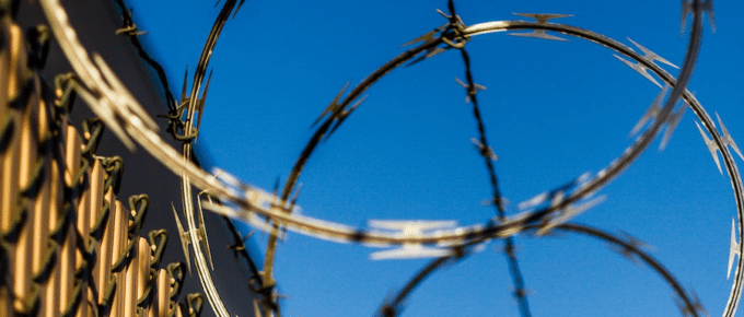 close up shot of curled barbed wire