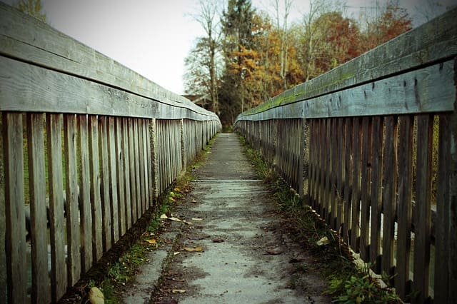 wooden bridge in woods