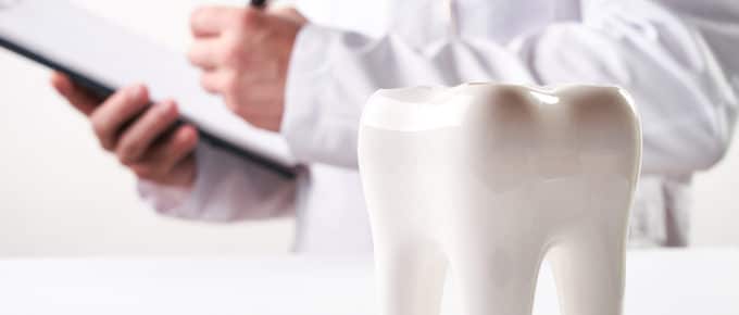 large ceramic tooth with person in background writing on clipboard