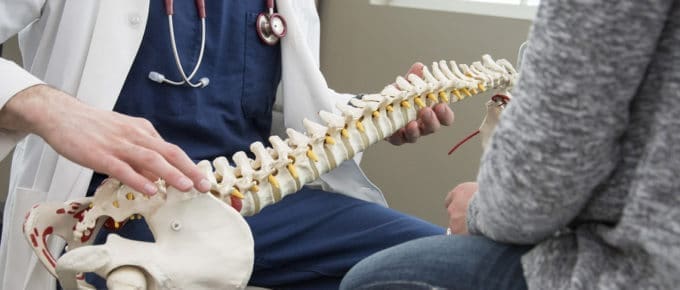 chiropractor showing patient a spine model
