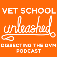 SLP ad for podcast on vet school