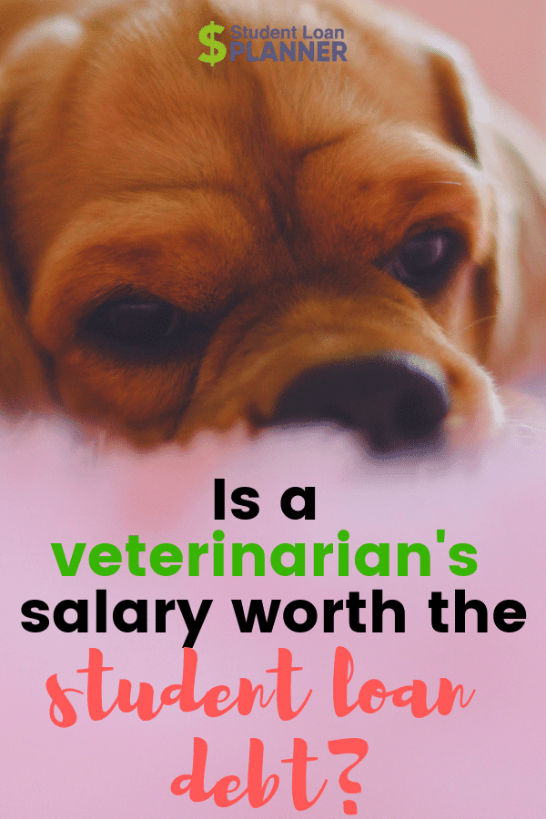 SLP ad of dog face for is a vet's salary worth it