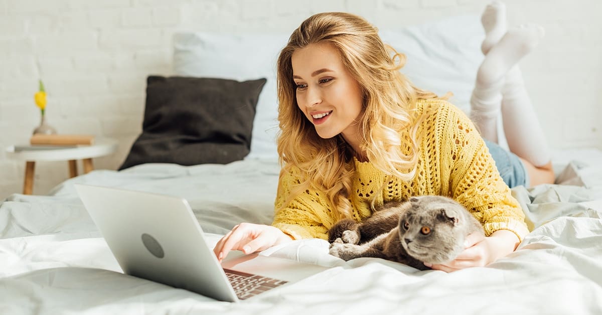 woman-searching-laptop-bed-cat