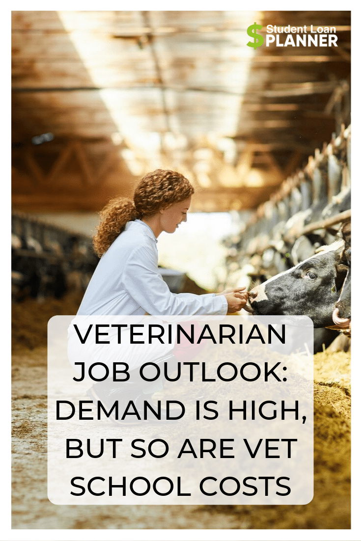 The Veterinarian Job Outlook is Good — The Student Loan Debt Isn’t Student Loan Planner