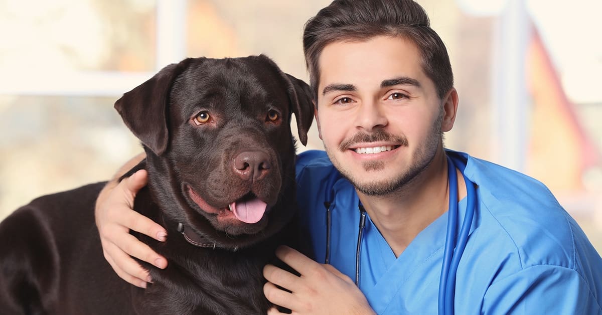 Smart Ways to Pay for Vet School Story Student Loan Planner