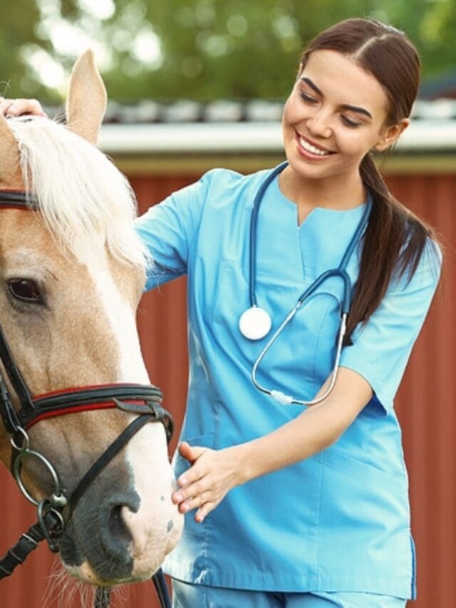 How to a Veterinarian Is It Worth the Time and Money? Student