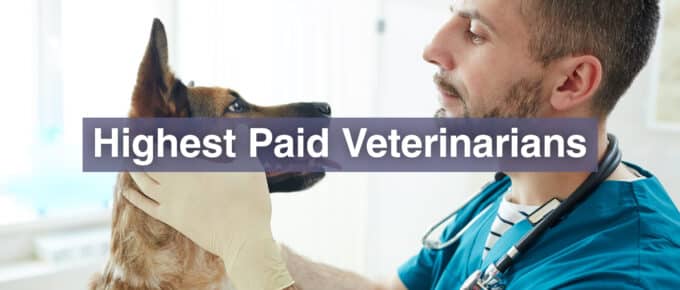 Highest Paid Veterinarians