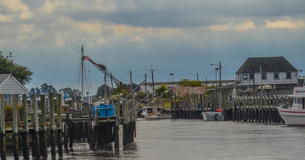 Boats in a Cove