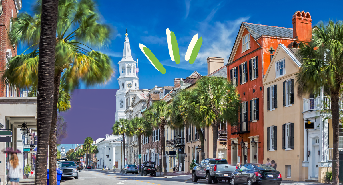 Charleston downtown with houses, palm tress and clear sky