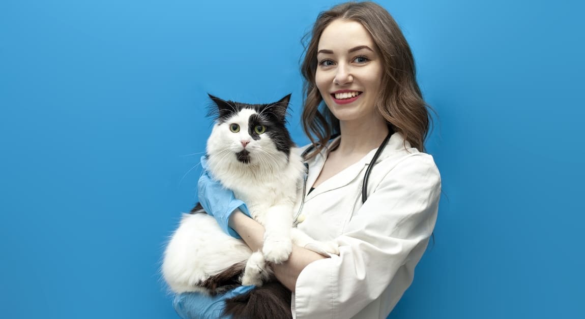 Zoo Veterinarian Salary