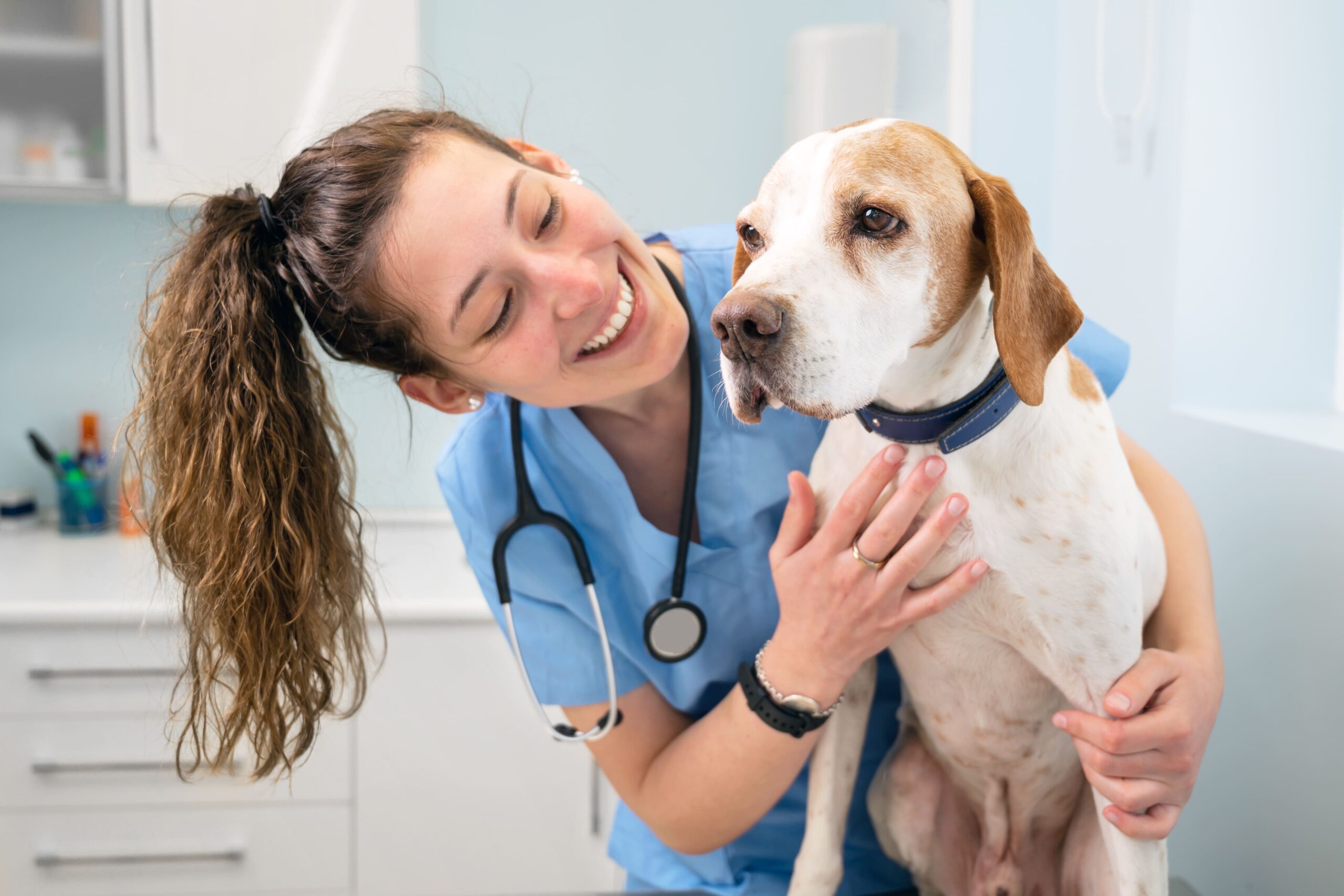 Veterinarian smiling at dog